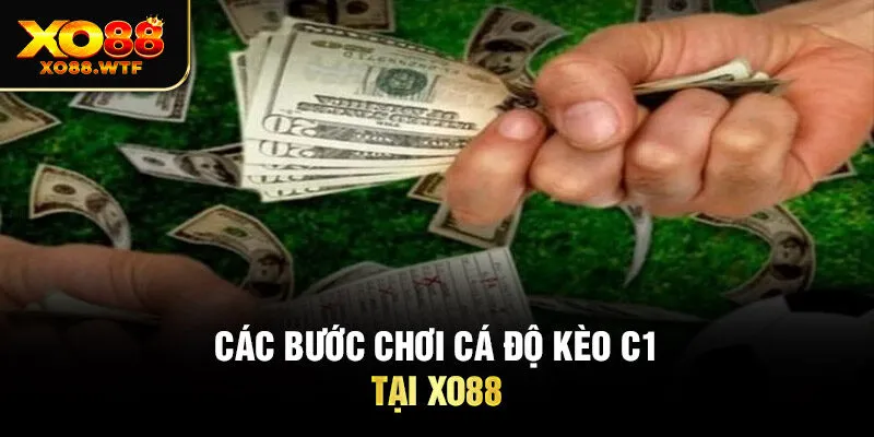Các bước chơi cá độ kèo C1 tại Xo88 Các bước chơi cá độ kèo C1 tại Xo88
