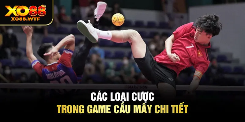 Các loại cược trong game cầu mây chi tiết Các loại cược trong game cầu mây chi tiết