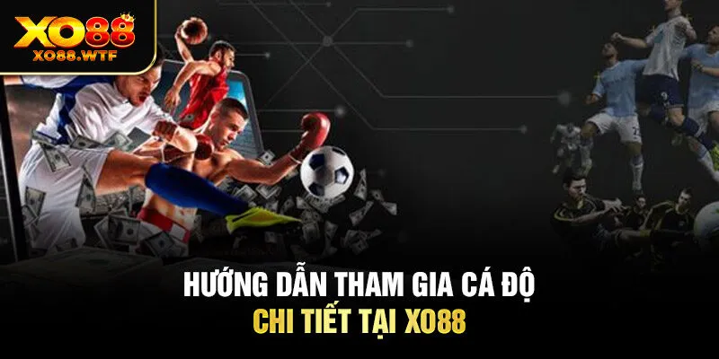 Hướng dẫn tham gia cá độ chi tiết tại Xo88 Hướng dẫn tham gia cá độ chi tiết tại Xo88
