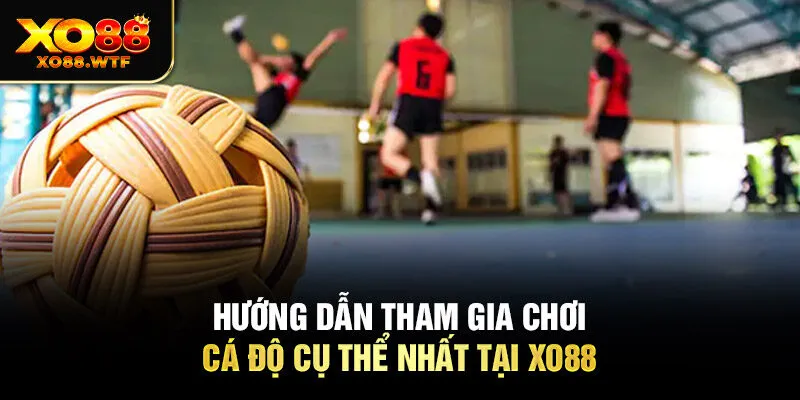 Hướng dẫn tham gia chơi cá độ cụ thể nhất tại Xo88 Hướng dẫn tham gia chơi cá độ cụ thể nhất tại Xo88