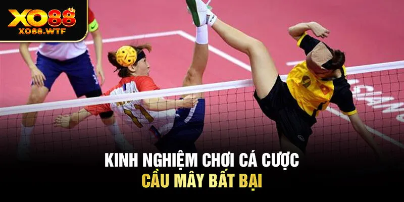 Kinh nghiệm chơi Cá cược cầu mây bất bại Kinh nghiệm chơi cá cược cầu mây bất bại