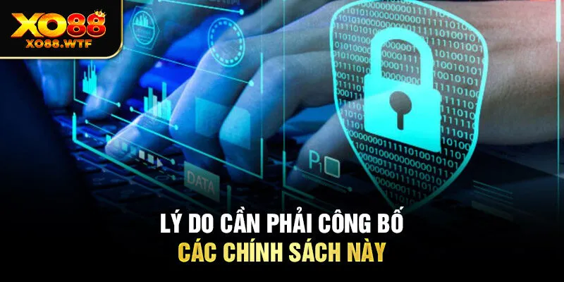Lý do cần phải công bố các chính sách này Lý do cần phải công bố các chính sách này