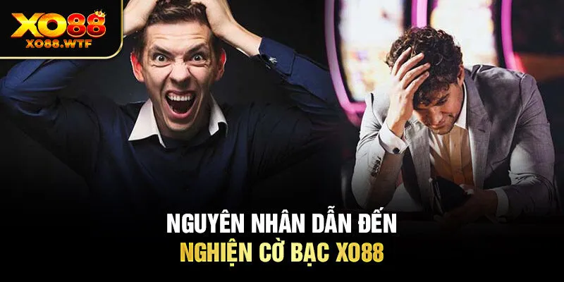 Nguyên nhân dẫn đến nghiện cờ bạc XO88 Nguyên nhân dẫn đến nghiện cờ bạc XO88