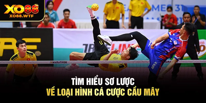 Tìm hiểu sơ lược về loại hình Cá cược cầu mây Tìm hiểu sơ lược về loại hình cá cược cầu mây